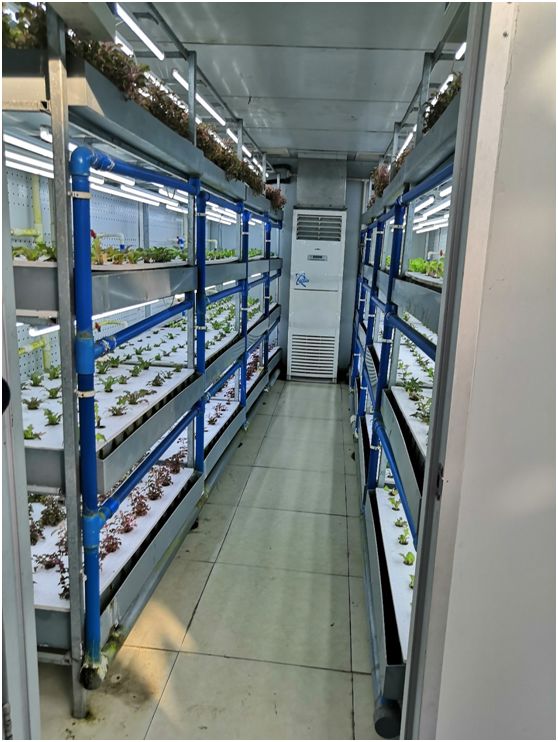 花卉教学实习园区的实践与探索